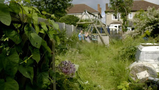 before garden before garden
