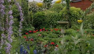 open garden open garden