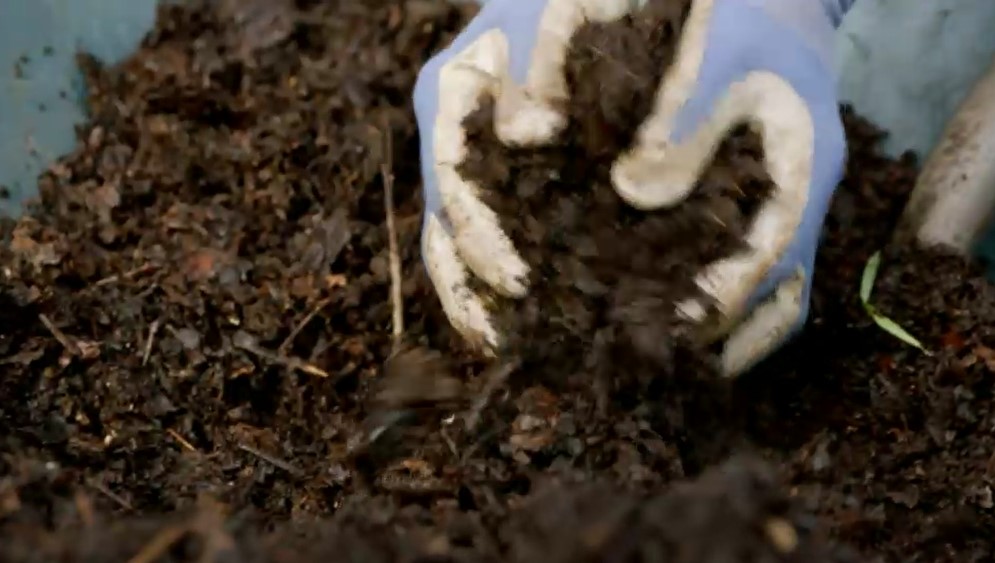 Dee Hart Dyke Mulch Dee Hart Dyke Mulch