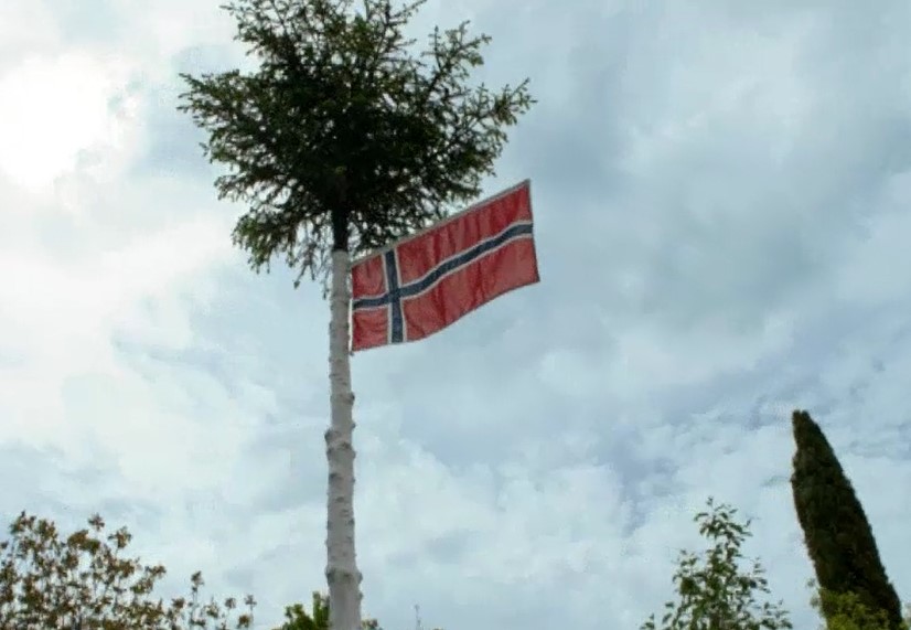 Norway Spruce Flagpole Norway Spruce Flagpole