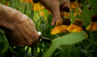 Deadheading Deadheading