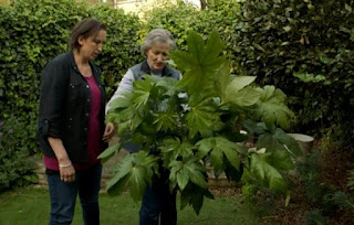 Miranda Hart and Dee Hart Dyke Miranda Hart and Dee Hart Dyke