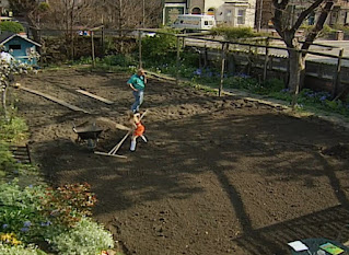 Dug lawn Dug lawn