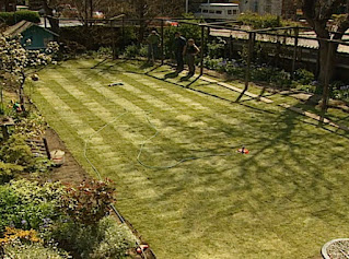 New lawn New lawn