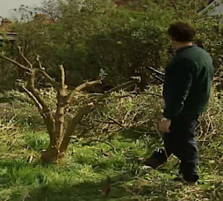 Monty Don Monty Don