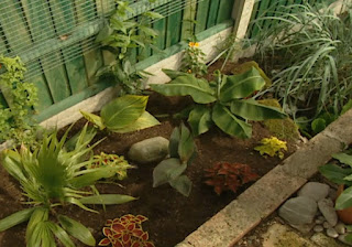 finished garden finished garden