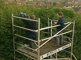 hedge cutting hedge cutting