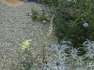 gravel garden gravel garden