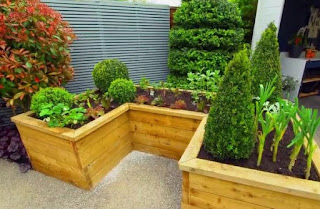 raised bed raised bed