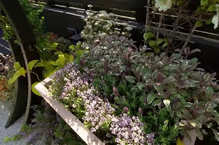 herb planter herb planter