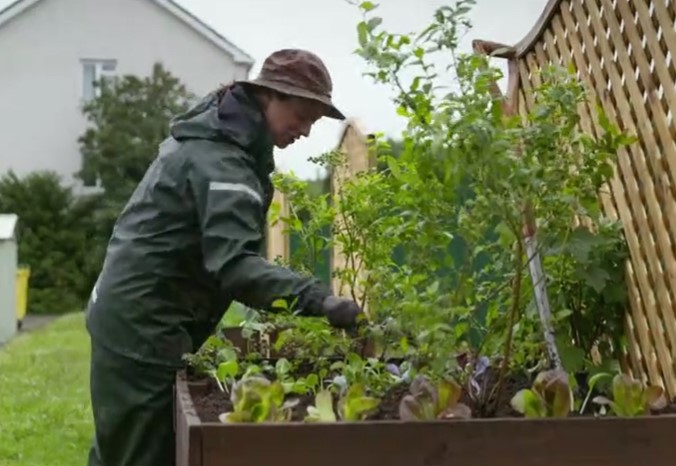 Raised beds Raised beds