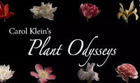 Carol Klein's Plant Odysseys