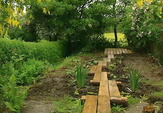 bog garden bog garden