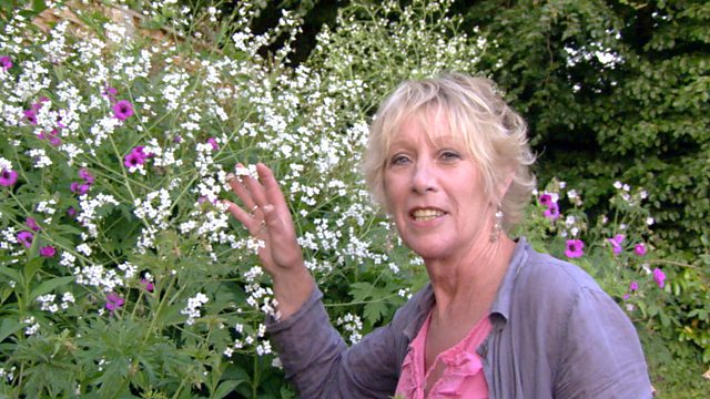 Carol Klein
