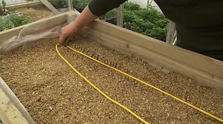plant propagator plant propagator