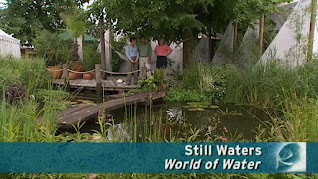 Still Waters by World of Water Still Waters by World of Water