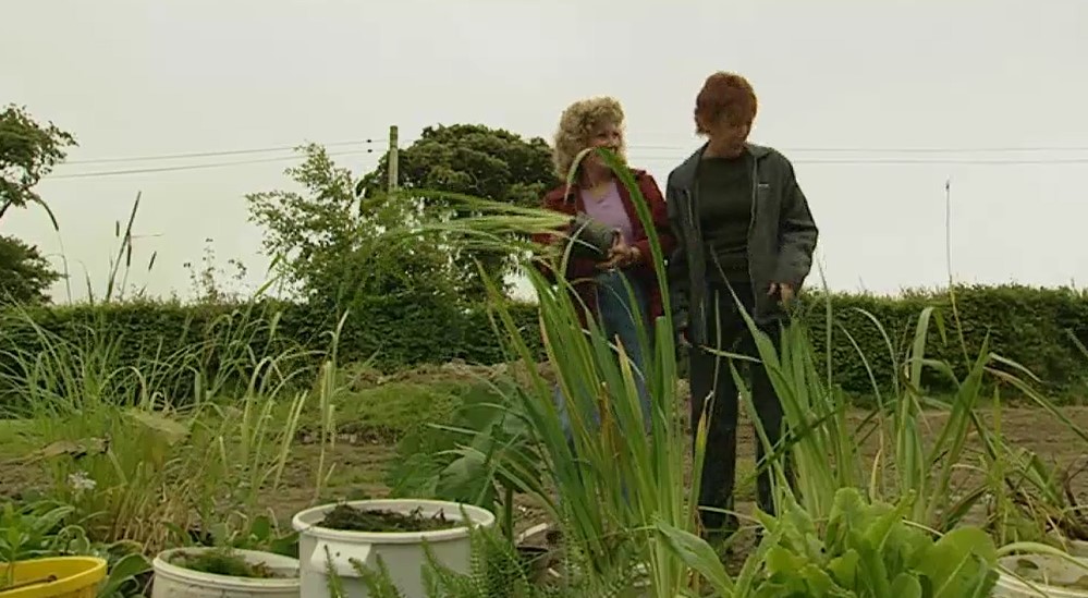 Planting weeds Planting weeds