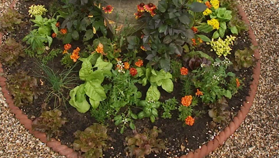 Potager Potager
