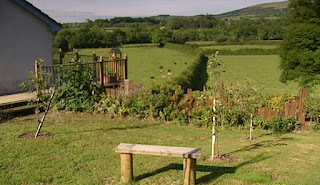 Adrian & Debbie garden Adrian & Debbie garden
