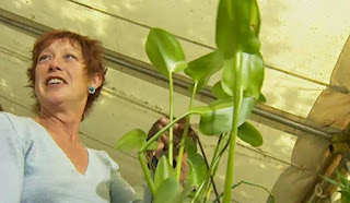 Real Gardens Episode 13 Real Gardens Episode 13