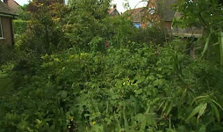 Diana Harold garden Diana Harold garden