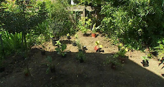 Diana Harold garden Diana Harold garden