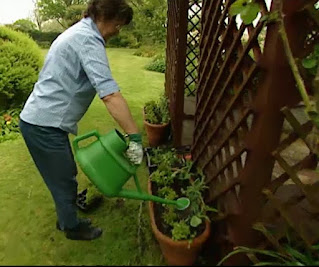 Liz watering Liz watering