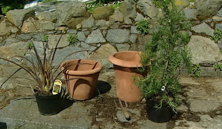 pots for terrace pots for terrace