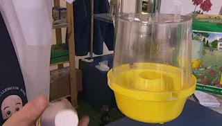 Wasp/fly trap Wasp/fly trap
