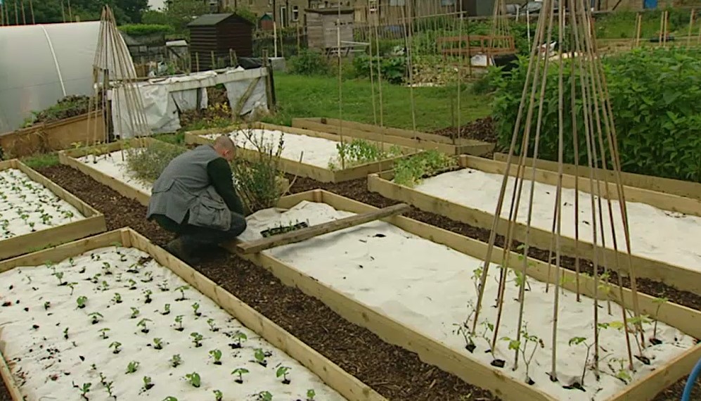 Allotment Allotment