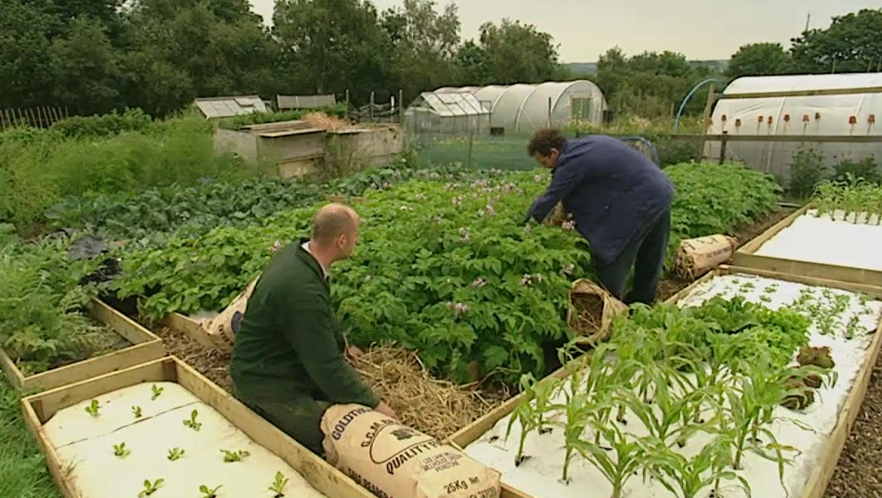Monty looks as Adam's plants Monty looks as Adam's plants