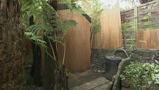 Shed Shed