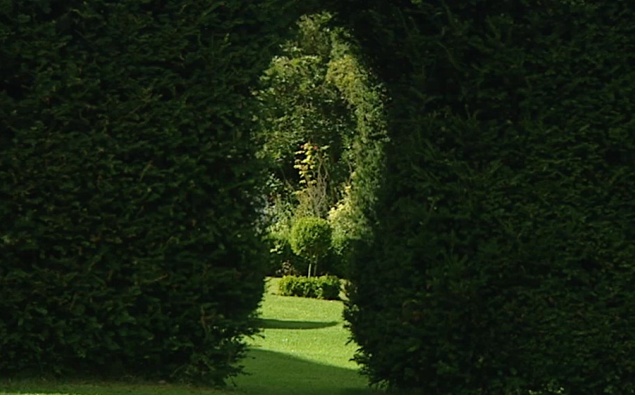 Hedge Doorway Hedge Doorway