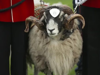 Ram Ram