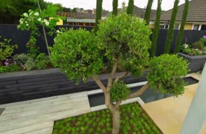 Finished garden