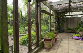 Catio Catio