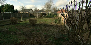 The Garden