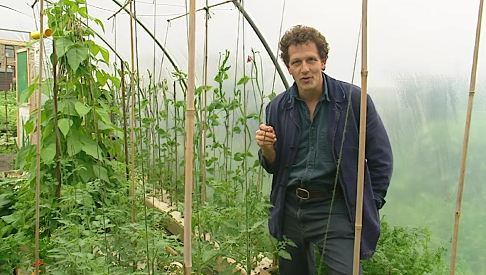 Monty Don Tomato plants Monty Don Tomato plants
