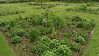 Bryony Martin garden Bryony Martin garden