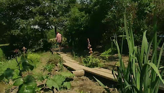 bog garden bog garden