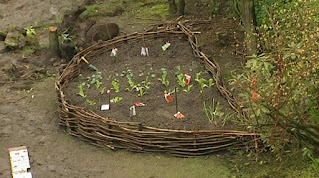 weave raised vegetable bed