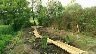 bog garden bog garden