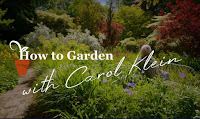 Gardening with Carol Klein