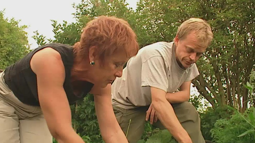 Carol starts removing the Comfrey Carol starts removing the Comfrey