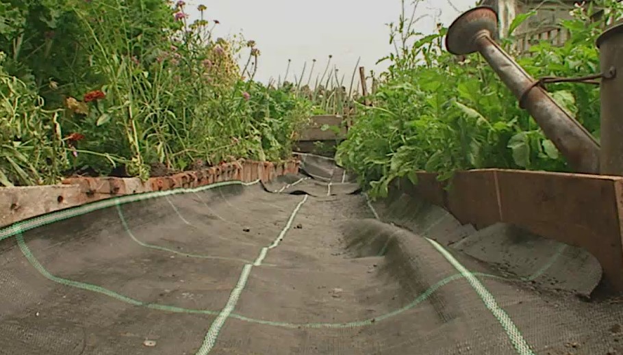 putting down weed suppressant membrane putting down weed suppressant membrane