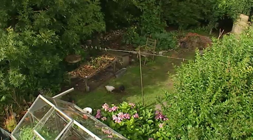 Helen and Adam Garden Helen and Adam Garden