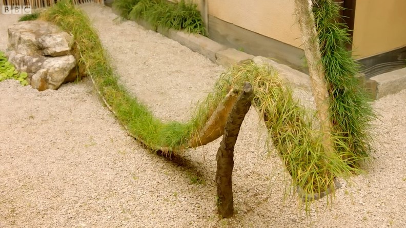 Snake greenery Snake greenery