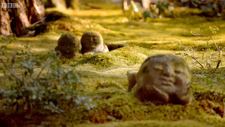 Sanzen-in Temple in Ohara Moss Sanzen-in Temple in Ohara Moss