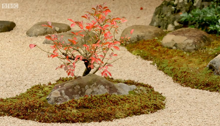Adachi Museum of Art Garden Plants and Rocks Adachi Museum of Art Garden Plants and Rocks