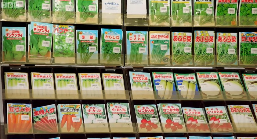 Rows of seed packets Rows of seed packets
